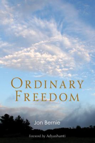 Kniha Ordinary Freedom Jon Bernie