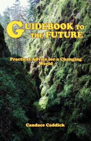 Kniha Guidebook to the Future Candace Caddick