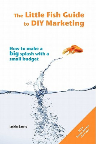 Kniha Little Fish Guide to DIY Marketing Jackie Barrie