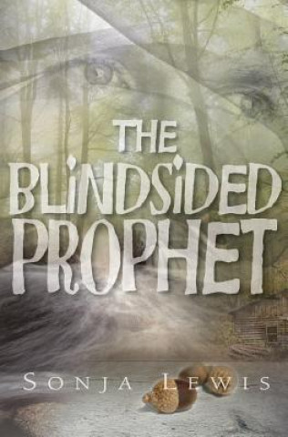 Kniha Blindsided Prophet Sonja Denise Lewis