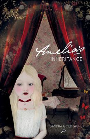 Kniha Amelia's Inheritance Sandra Goldbacher