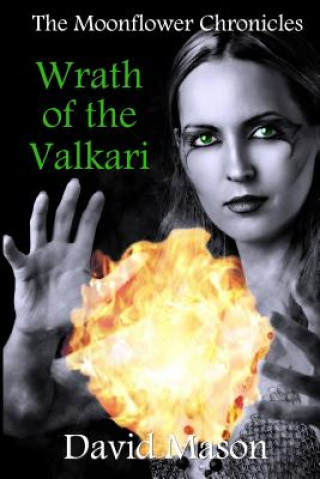Kniha Wrath of the Valkari David Mason