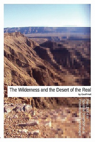 Book Wilderness and the Desert of the Real Geoff Hall