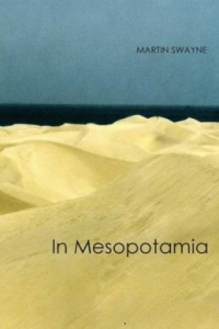 Kniha In Mesopotamia Martin Swayne