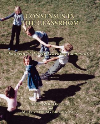 Kniha Consensus in the Classroom M Y Brown