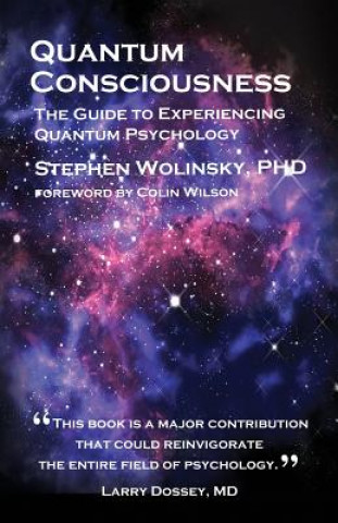 Book Quantum Consciousness Stephen Wolinsky