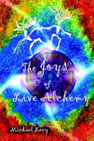 Livre Joys of Live Alchemy Levy