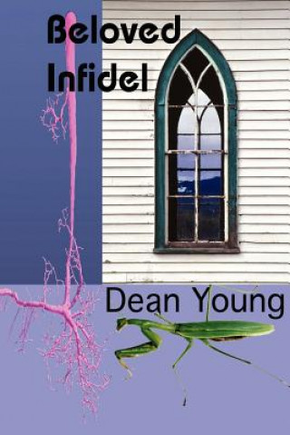 Buch Beloved Infidel Dean Young