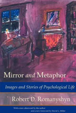 Knjiga Mirror and Metaphor Robert D Romanyshyn