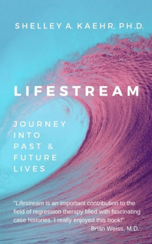 Libro Lifestream Shelley Kaehr