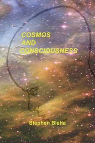 Könyv Cosmos and Consciousness Stephen Blaha