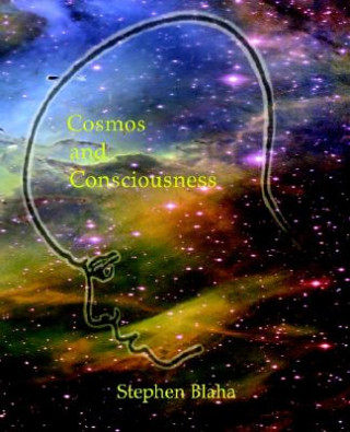 Kniha Cosmos and Consciousness Stephen Blaha