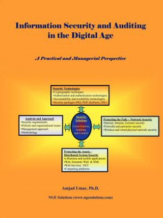 Книга Information Security and Auditing in the Digital Age Umar