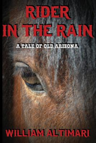 Kniha Rider in the Rain William Altimari