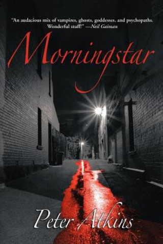 Kniha Morningstar Peter Watkins