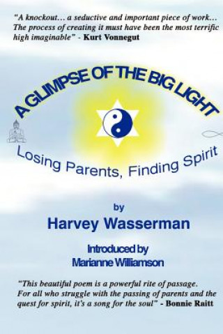 Carte Glimpse of the Big Light Harvey Wasserman