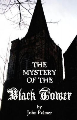 Kniha Mystery of the Black Tower Palmer