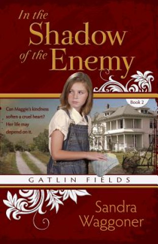 Kniha In the Shadow of the Enemy Sandra Waggoner