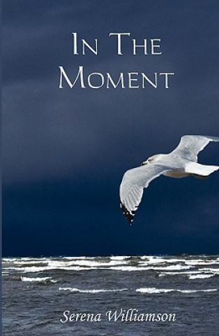 Buch In the Moment Serena Williamson