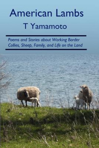 Carte American Lambs T Yamamoto