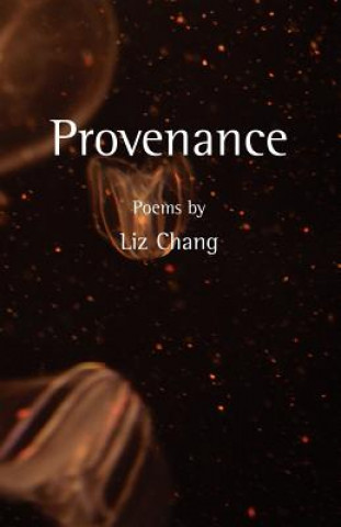 Könyv Provenance Liz Chang