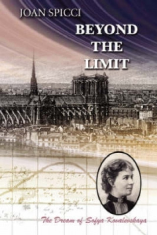 Book Beyond The Limit J Spicci