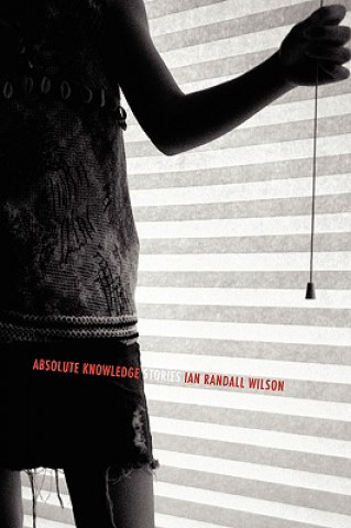 Buch Absolute Knowledge Ian Randall Wilson