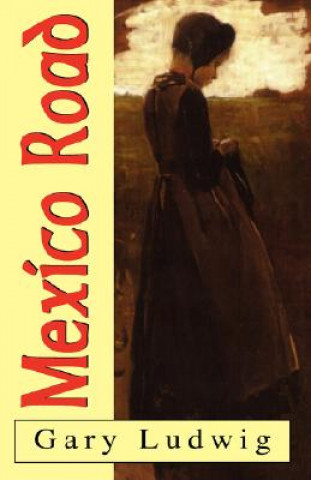 Livro Mexico Road Gary Ludwig