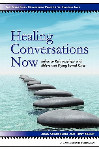 Kniha Healing Conversations Now Tony Silbert