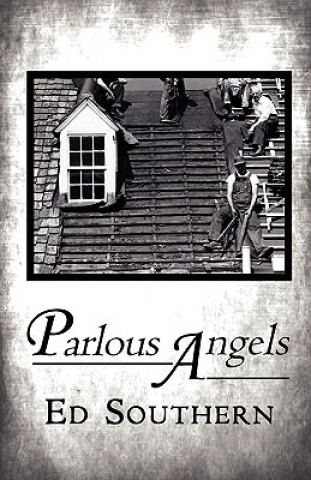 Buch Parlous Angels Ed Southern