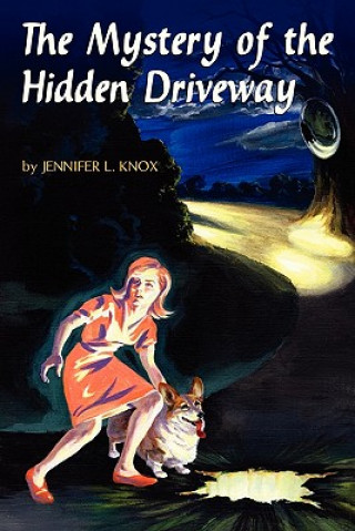 Knjiga Mystery of the Hidden Driveway Jennifer L. Knox