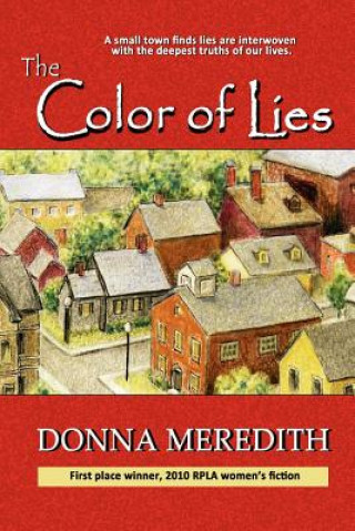 Könyv Color of Lies Donna Meredith