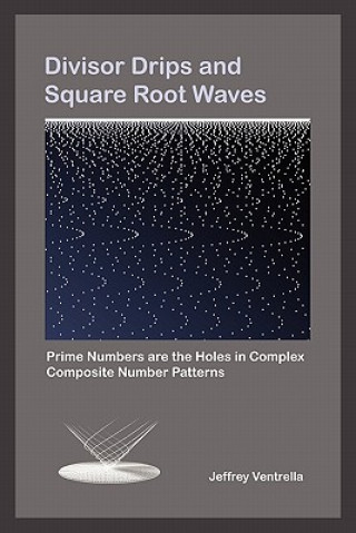 Carte Divisor Drips and Square Root Waves Jeffrey Ventrella
