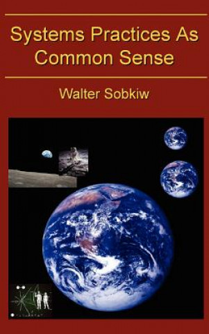 Buch Systems Practices as Common Sense Walter Sobiw