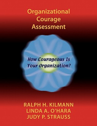 Kniha Organizational Courage Assessment Judy P Strauss