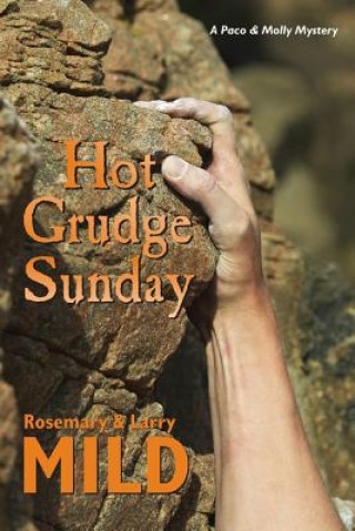 Książka Hot Grudge Sunday Larry Mild