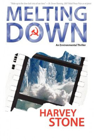 Книга Melting Down Harvey Stone