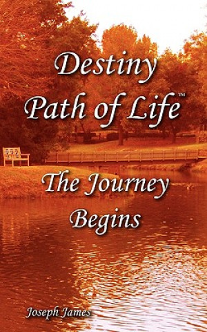 Könyv Destiny Path of Life - The Journey Begins Joseph James Hartmann