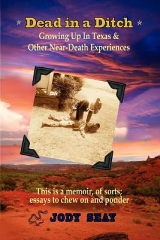 Book Dead In a Ditch Jody Seay