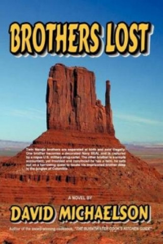 Kniha Brothers Lost - A Novel David Michaelson