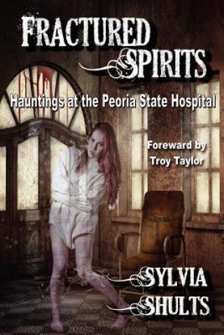 Kniha Fractured Spirits Sylvia Shults
