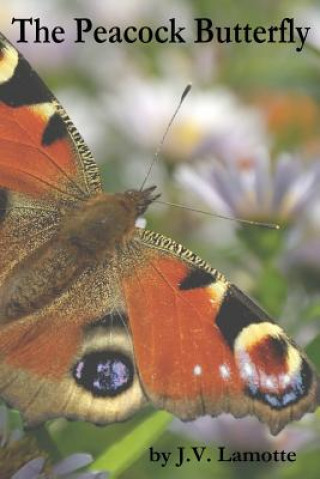 Kniha Peacock Butterfly J V Lamotte