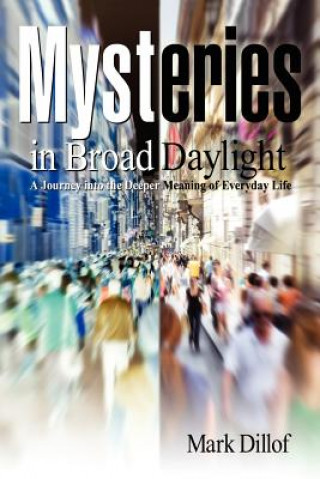 Knjiga Mysteries in Broad Daylight Mark Dillof