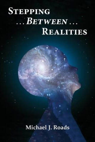 Kniha Stepping Between Realities Michael J Roads