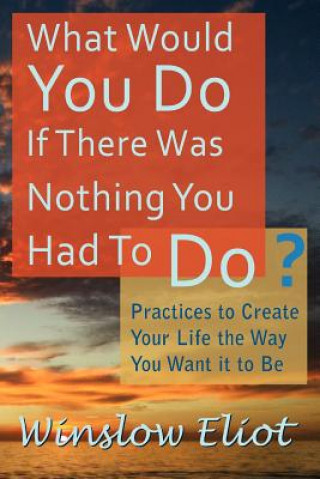 Book What Would You Do If There Was Nothing You Had To Do? Winslow Eliot