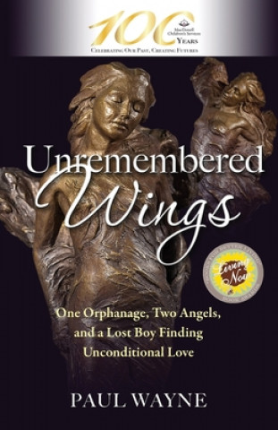 Book Unremembered Wings Paul Wayne