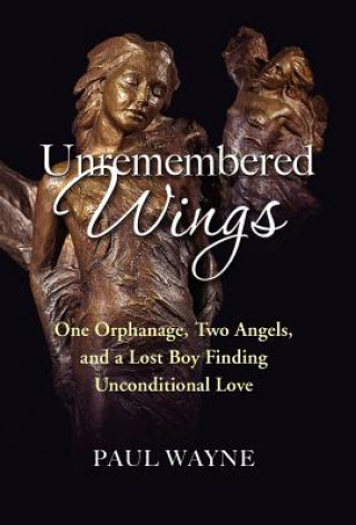Könyv Unremembered Wings Paul Wayne