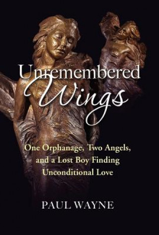 Книга Unremembered Wings Paul Wayne