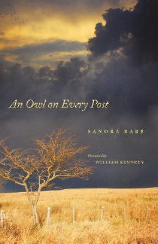 Kniha Owl on Every Post Sanora Babb