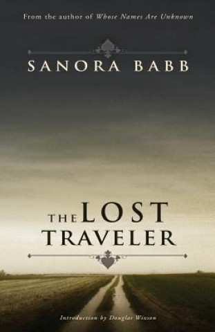 Kniha Lost Traveler Sanora Babb